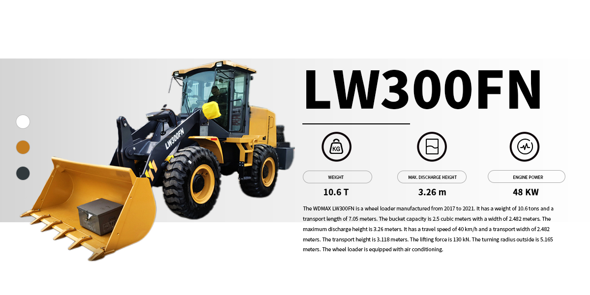 แอลดับบลิว300เอฟเอ็น